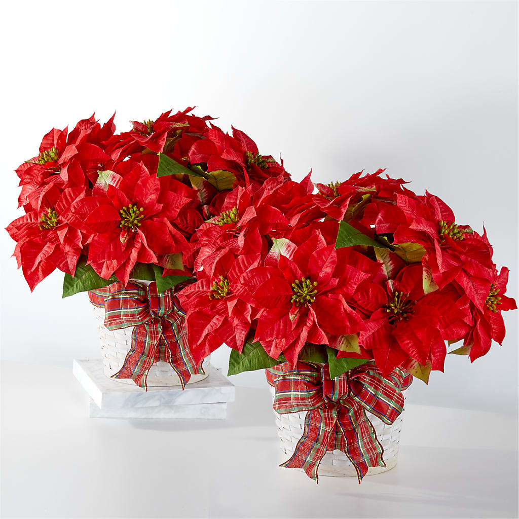 Happiest Holidays Poinsettia Bundle – Petals From Angels Floral Designs, Pasadena CA