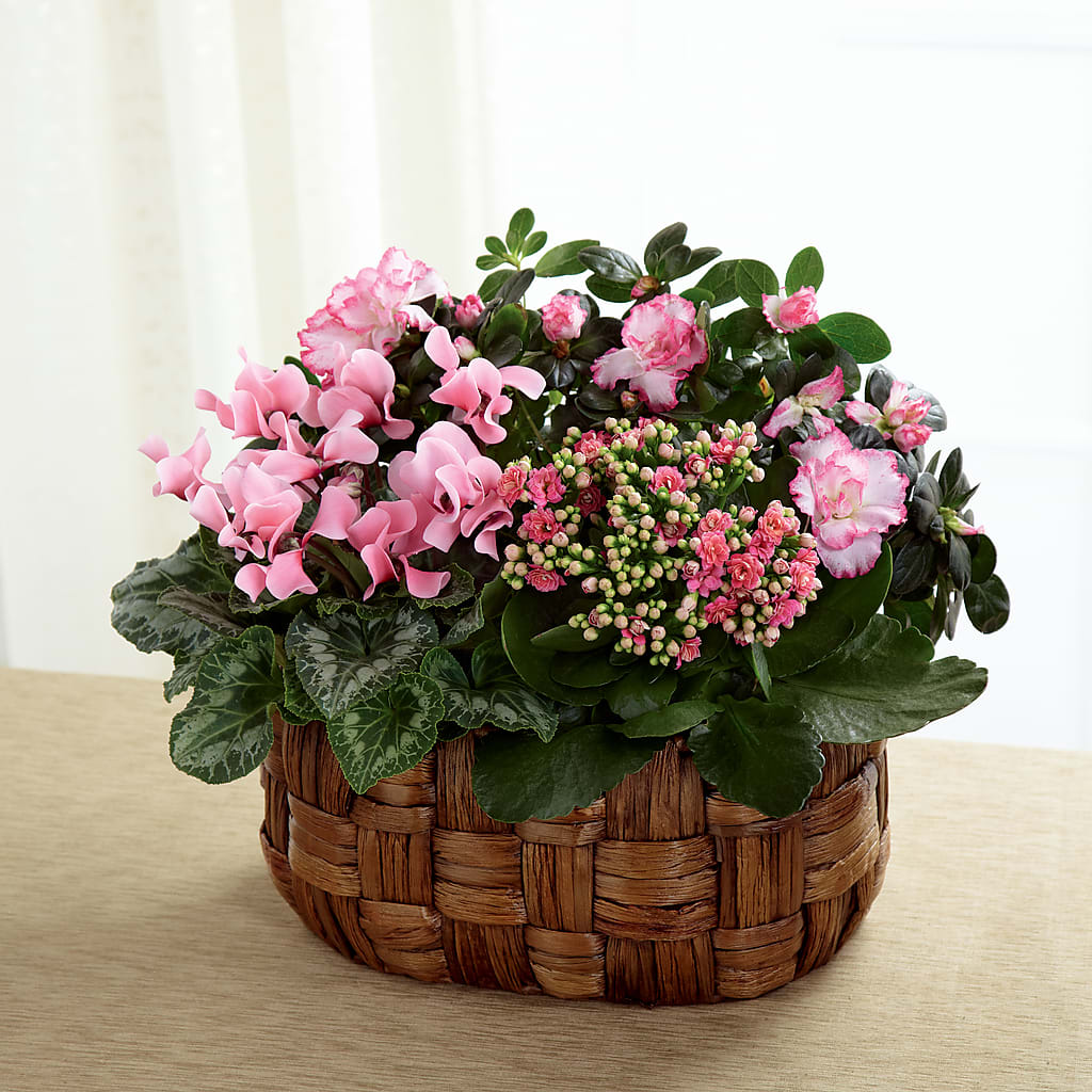 Pink Assortment – Petals From Angels Floral Designs, Pasadena CA