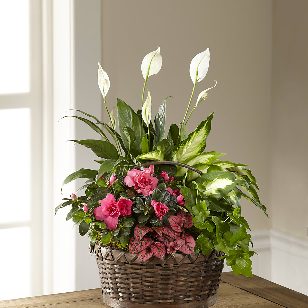 Dream in Pink Dishgarden – Petals From Angels Floral Designs, Pasadena CA