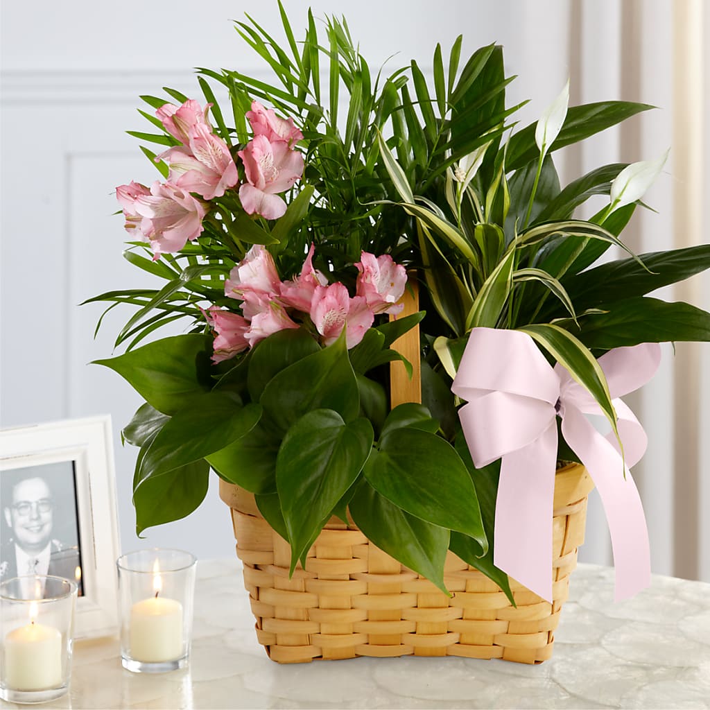 Living Spirit Dishgarden – Petals From Angels Floral Designs, Pasadena CA