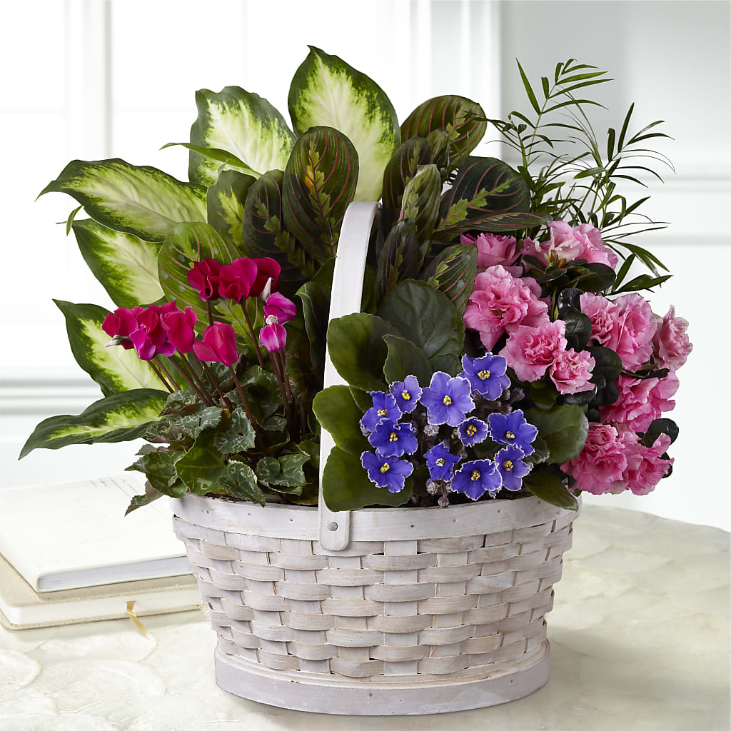 Peaceful Garden Planter – Petals From Angels Floral Designs, Pasadena CA