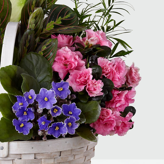 Peaceful Garden Planter – Petals From Angels Floral Designs, Pasadena CA