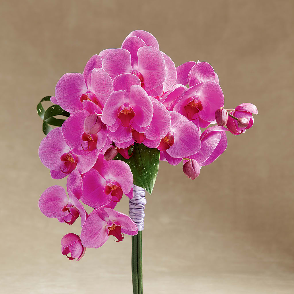 Glorious Bouquet – Petals From Angels Floral Designs, Pasadena CA