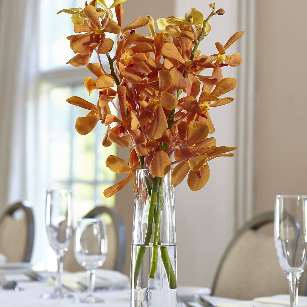 Orange Mokara Bud Vase – Petals From Angels Floral Designs, Pasadena CA