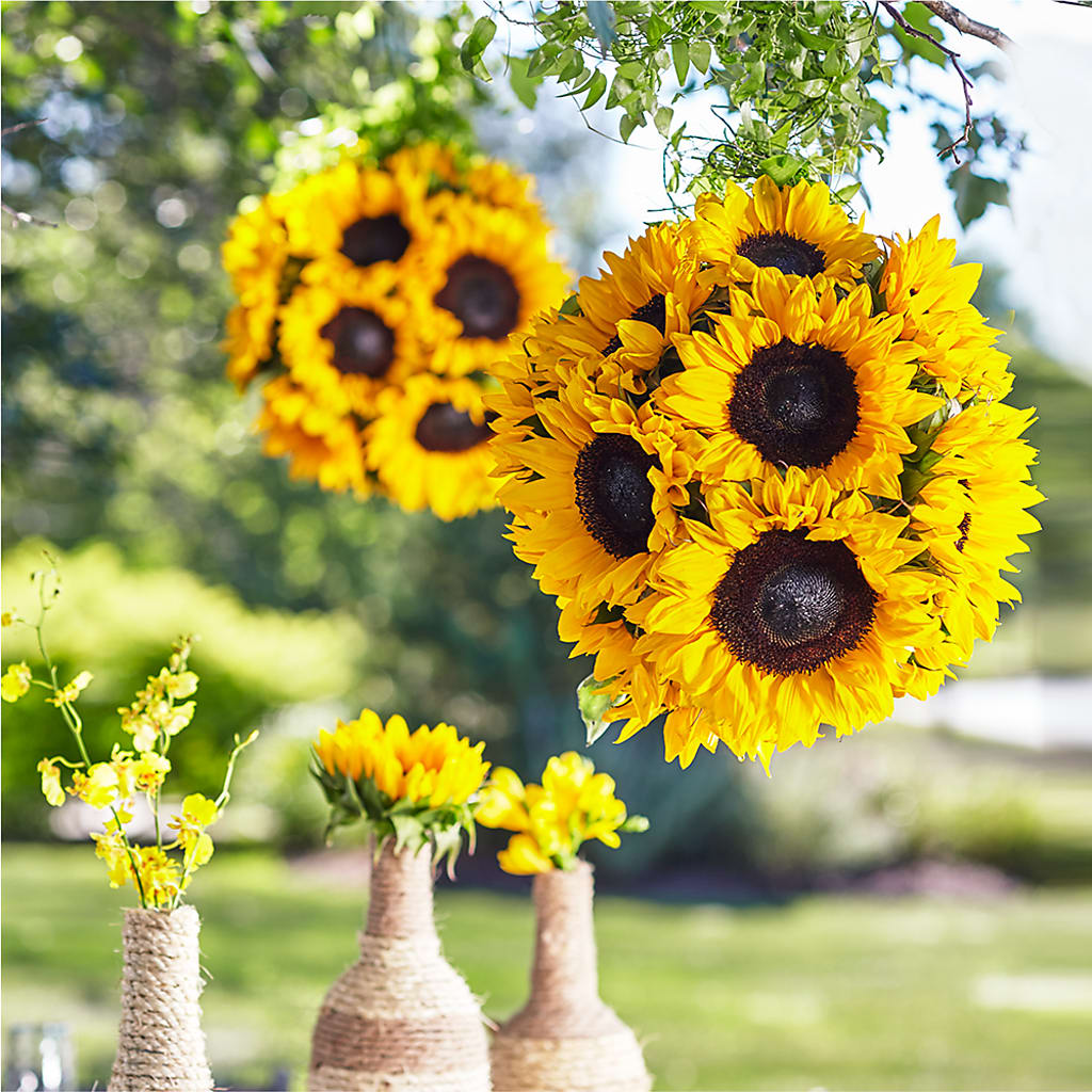 Sublime Garden Hanging Arrangement – Petals From Angels Floral Designs, Pasadena CA