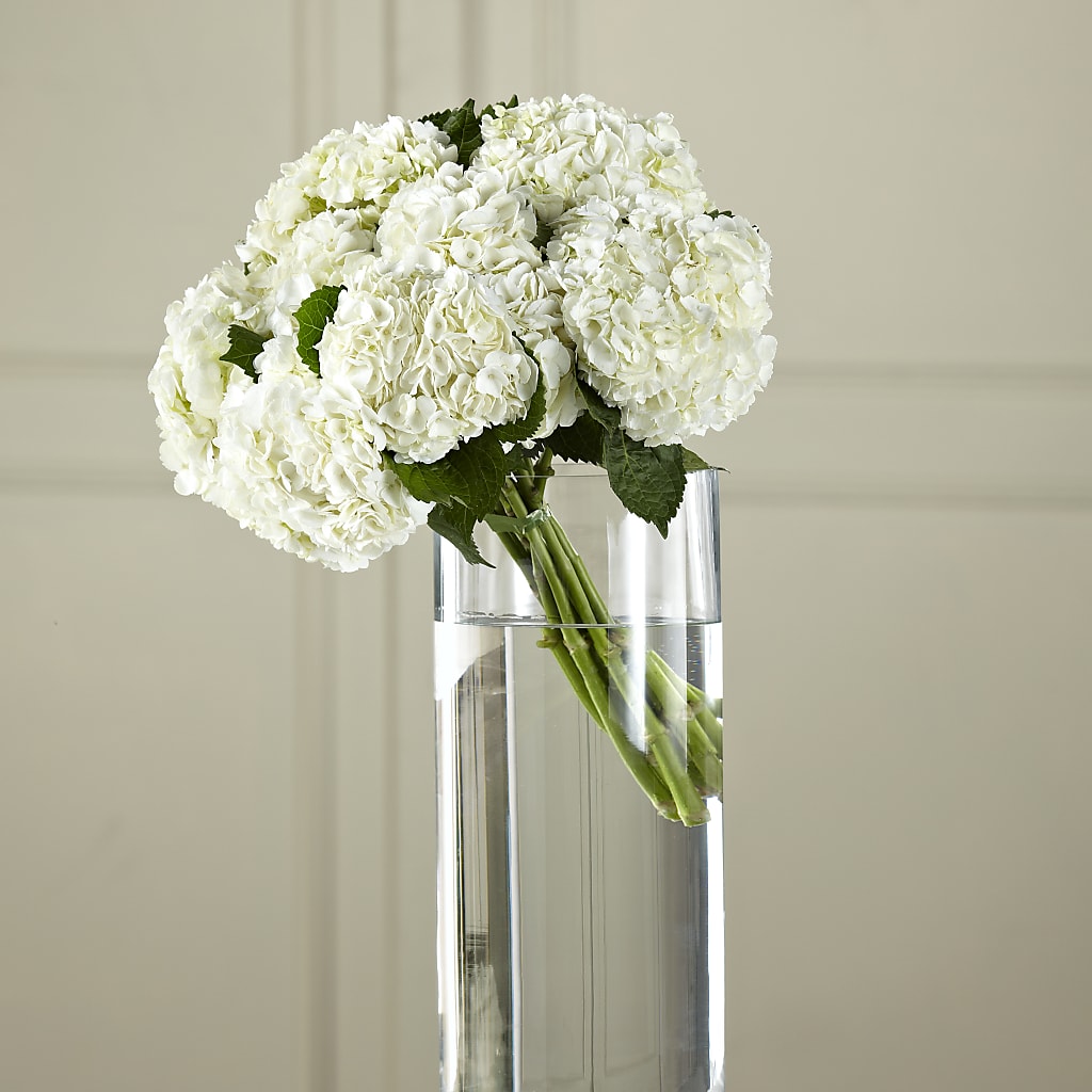 White Hydrangea Hand-Tied Bouquet – Petals From Angels Floral Designs, Pasadena CA