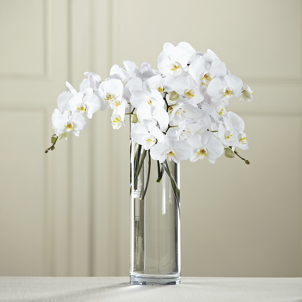White Phalaenopsis Bouquet – Petals From Angels Floral Designs, Pasadena CA