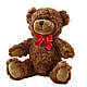 Adorable Plush Bear –  Petals From Angels Floral Designs, Pasadena CA