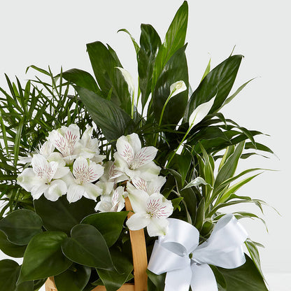 Peace & Serenity Dishgarden –  Petals From Angels Floral Designs, Pasadena CA