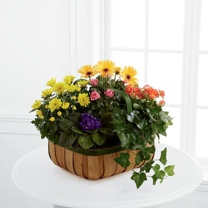 Gentle Blossoms Basket –  Petals From Angels Floral Designs, Pasadena CA