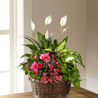 Dream in Pink Dishgarden –  Petals From Angels Floral Designs, Pasadena CA