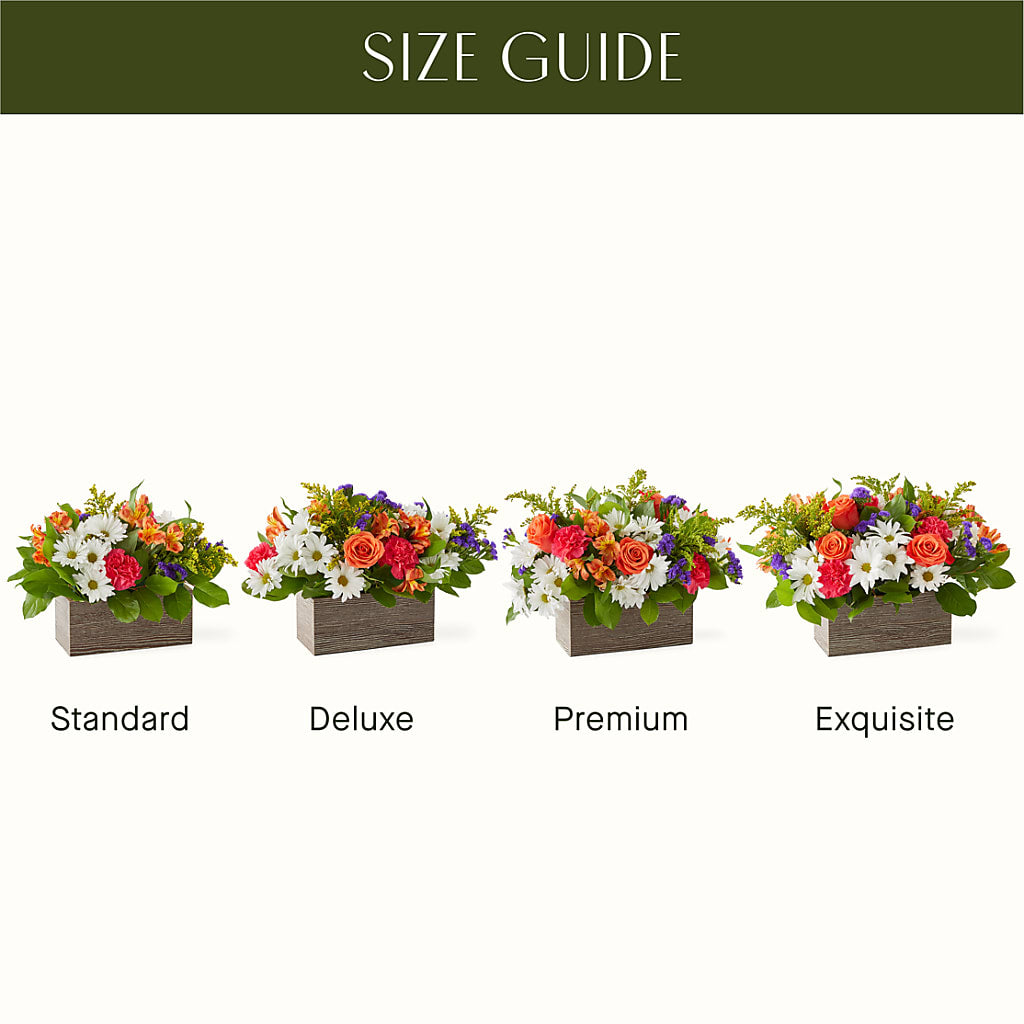 Oopsie Daisy Box Bouquet –  Petals From Angels Floral Designs, Pasadena CA