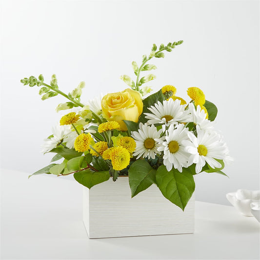 Sun Salutation Box Bouquet –  Petals From Angels Floral Designs, Pasadena CA