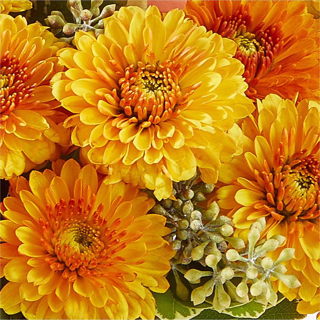 Peachy Pumpkin –  Petals From Angels Floral Designs, Pasadena CA