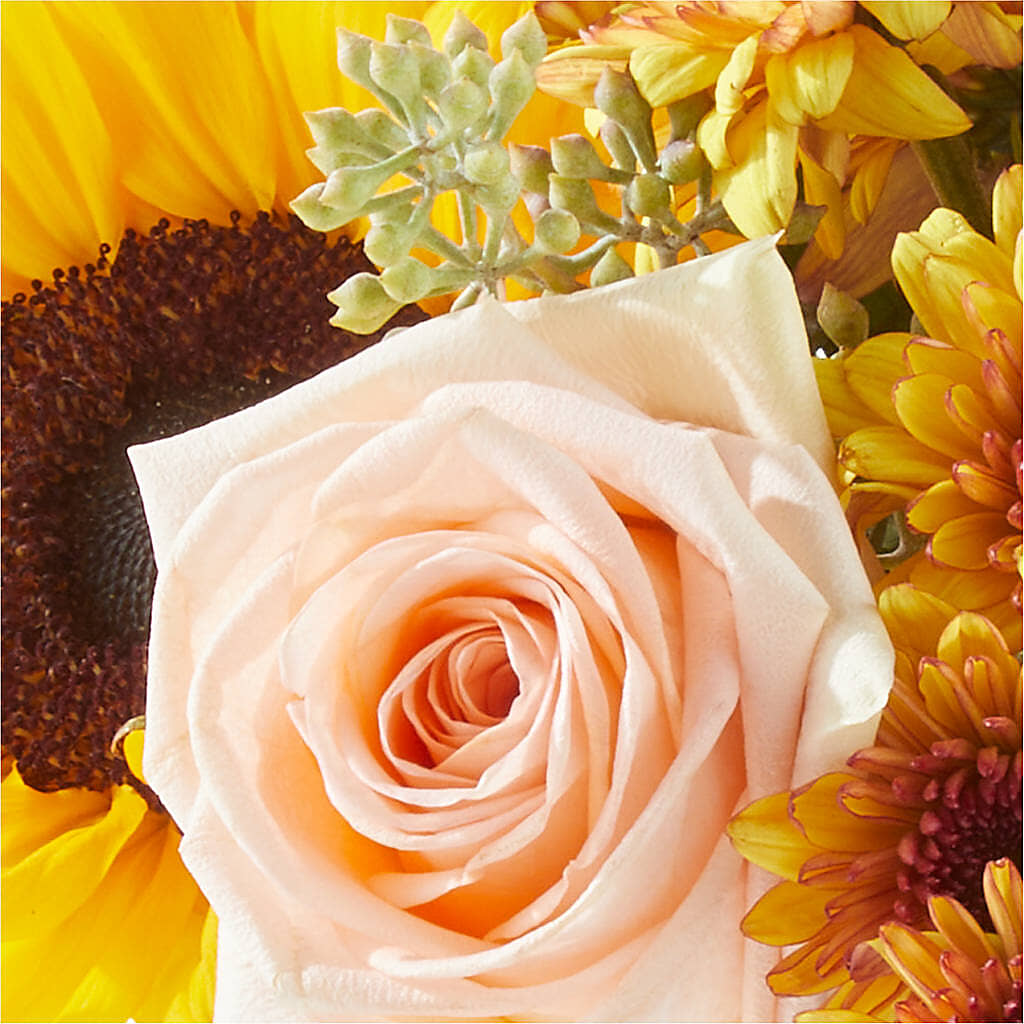 Pumpkin to Talk About Bouquet –  Petals From Angels Floral Designs, Pasadena CA