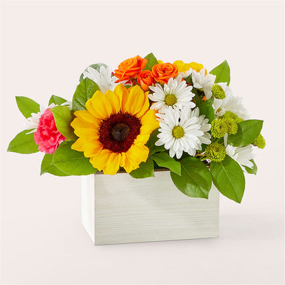 Sun-drenched Blooms Box Bouquet –  Petals From Angels Floral Designs, Pasadena CA