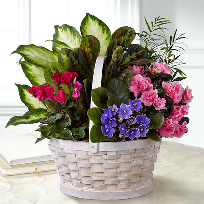Peaceful Garden Planter –  Petals From Angels Floral Designs, Pasadena CA
