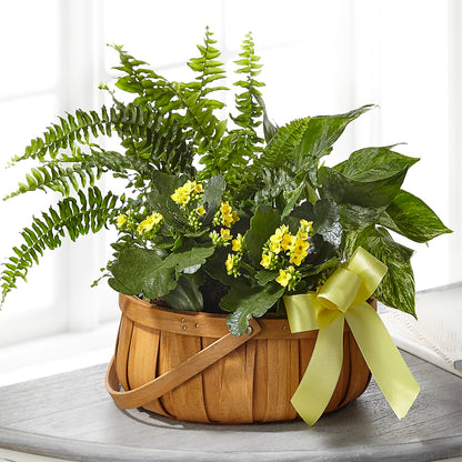 Always Dear Dishgarden –  Petals From Angels Floral Designs, Pasadena CA