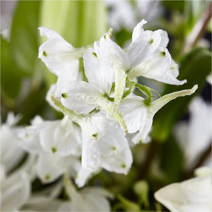 Classic Ivory – A Florist Original –  Petals From Angels Floral Designs, Pasadena CA