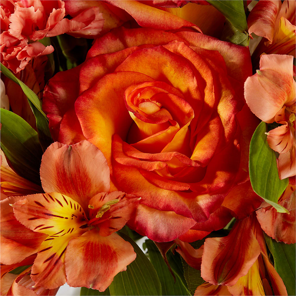 Apricot Glow Bouquet –  Petals From Angels Floral Designs, Pasadena CA