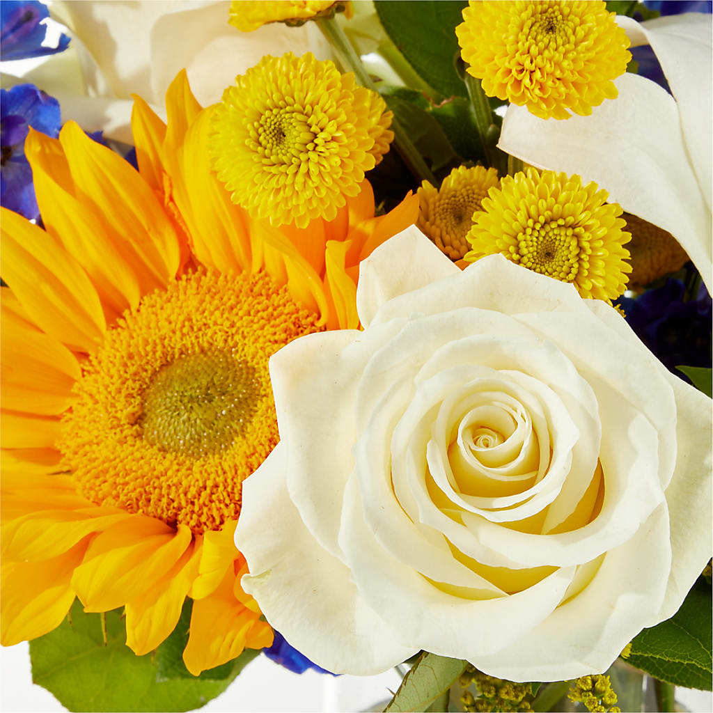 Stargazing Bouquet –  Petals From Angels Floral Designs, Pasadena CA