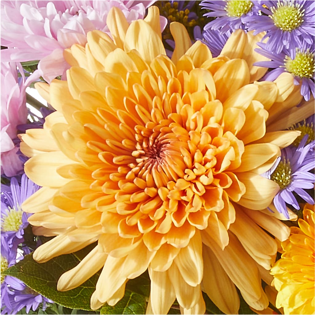 Countryside Bouquet –  Petals From Angels Floral Designs, Pasadena CA