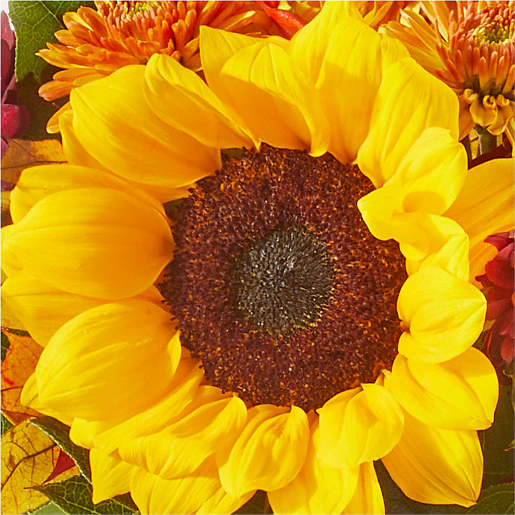 Sunny Side Bouquet –  Petals From Angels Floral Designs, Pasadena CA