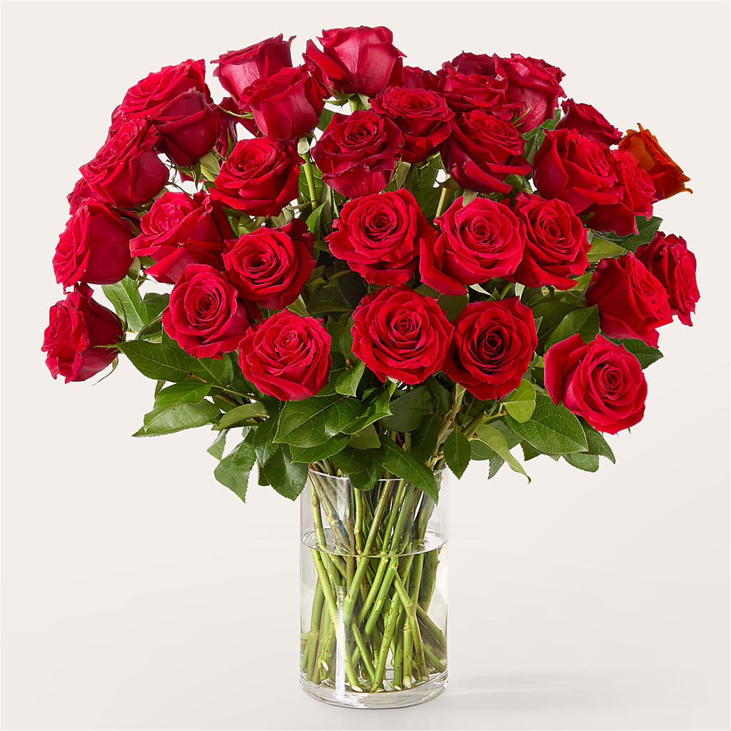 The One Red Rose Bouquet –  Petals From Angels Floral Designs, Pasadena CA